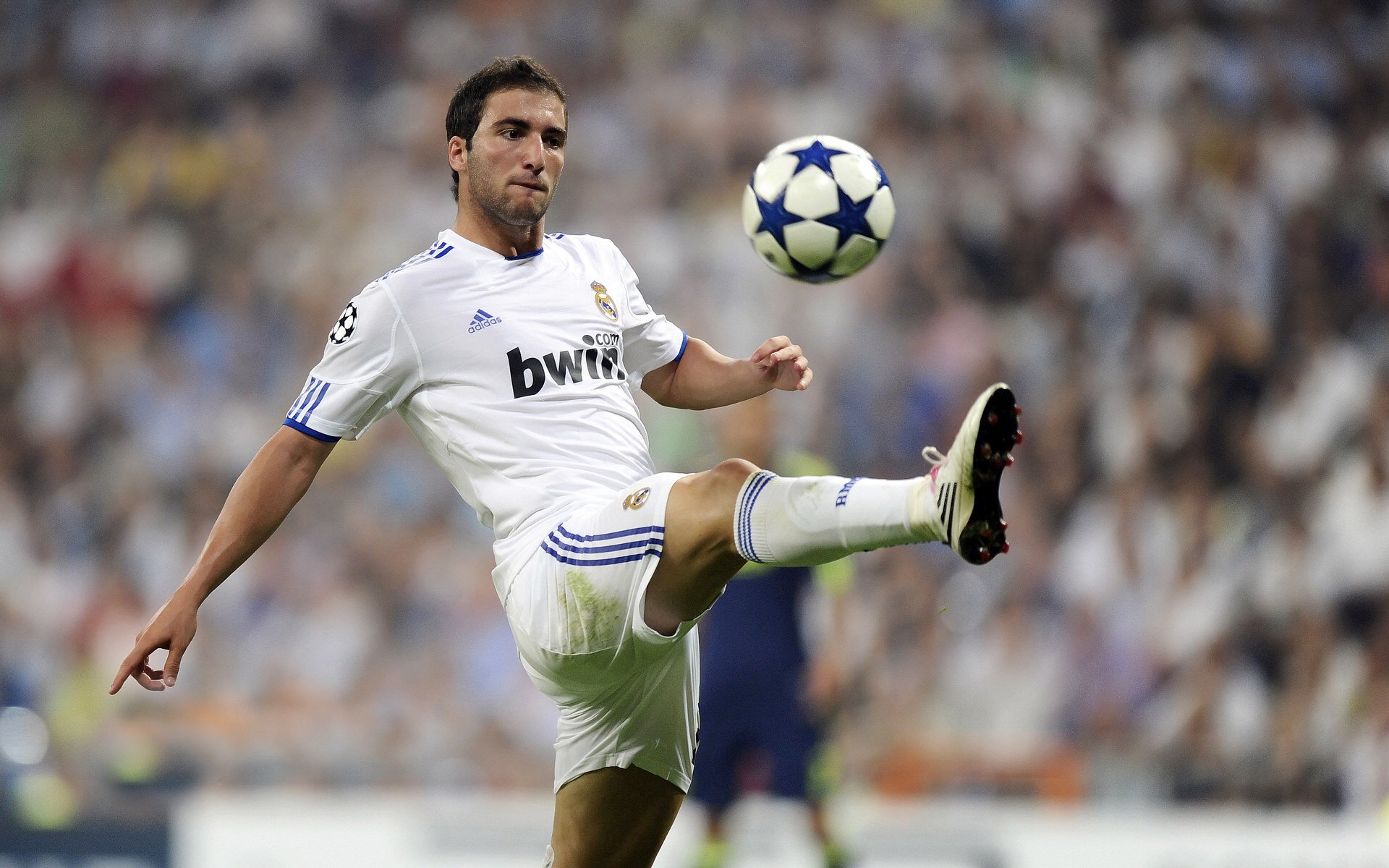 山东泰山主场完美收官!连胜五项纪录,中超10场不败之最,2021中超山东泰山队