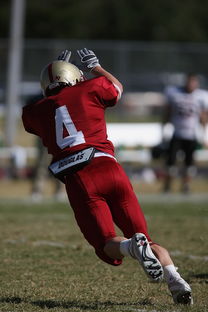 xk体育-法甲球队防守战术调整后定位球防守成功率提升分析，法国防守