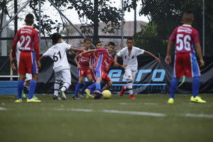 星空电竞平台官网-中国足球青训成果展示会在多地举办，中国足球青训比赛